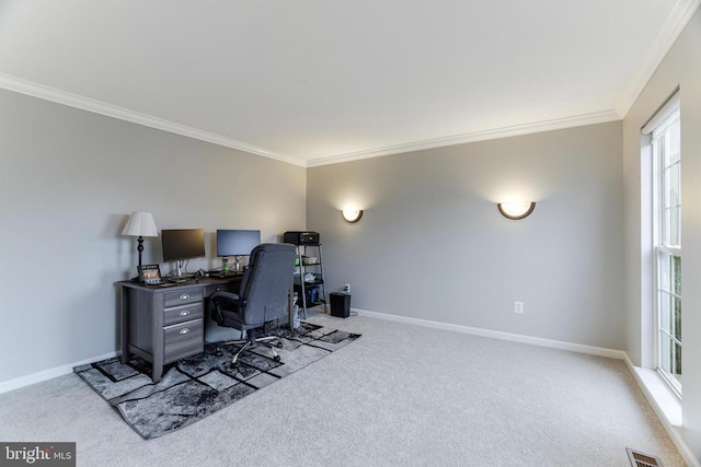 office space with carpet floors, crown molding, and baseboards