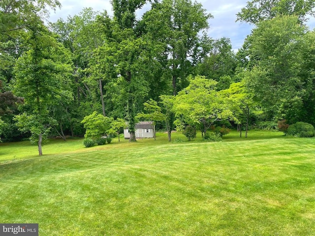 view of yard featuring an outdoor structure and a shed