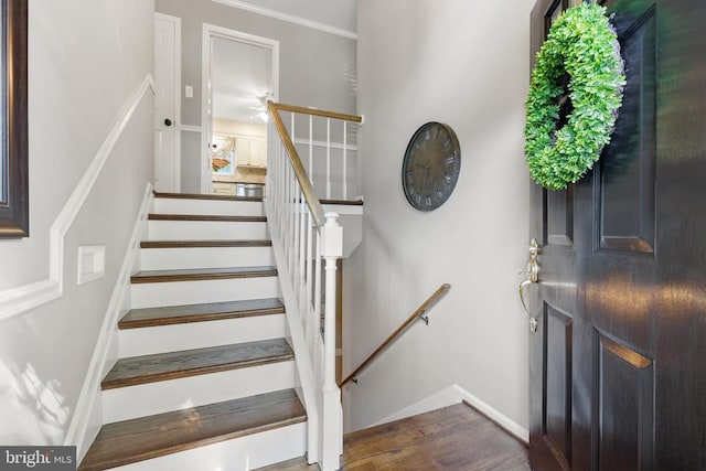 stairway with wood finished floors