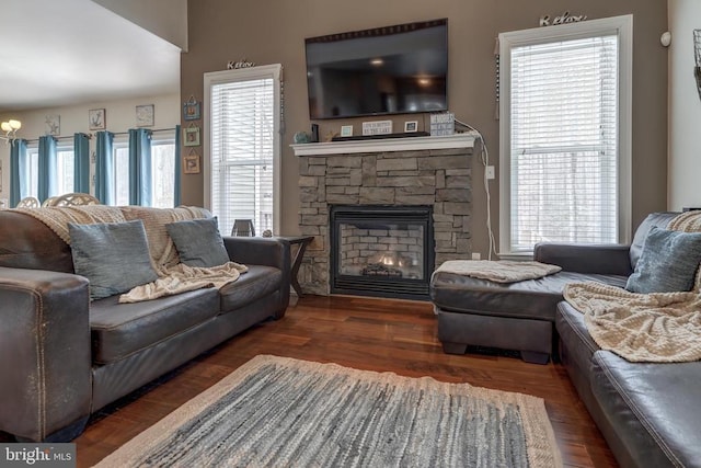living area featuring wood finished floors and a fireplace