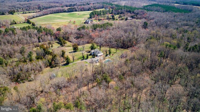 bird's eye view