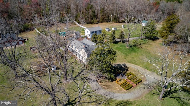 bird's eye view