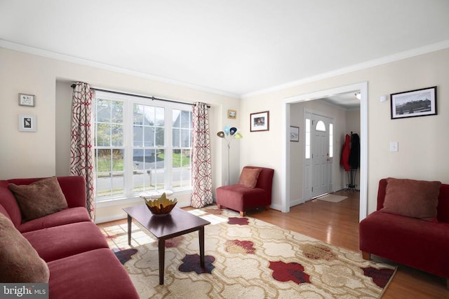 living room with wood finished floors, a healthy amount of sunlight, and crown molding