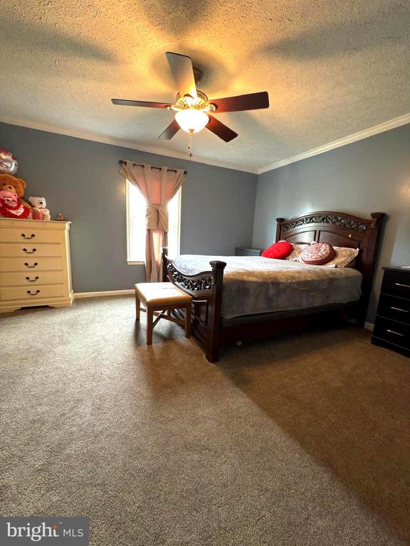  - bedroom featuring crown molding, a textured ceiling, carpet, a ceiling fan, and baseboards