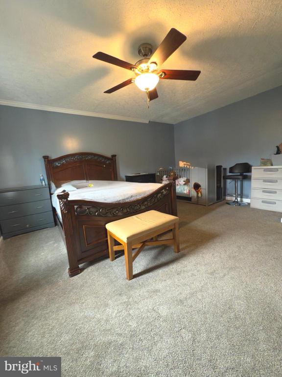  - carpeted bedroom with ornamental molding, a textured ceiling, and a ceiling fan