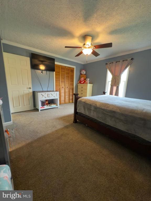  - bedroom with ornamental molding, a textured ceiling, carpet flooring, a ceiling fan, and a closet