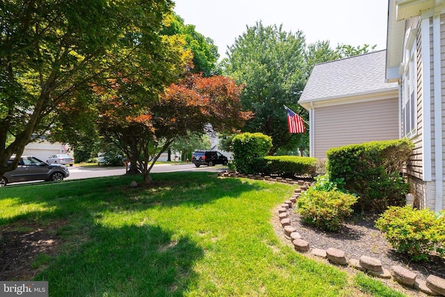 view of grassy yard
