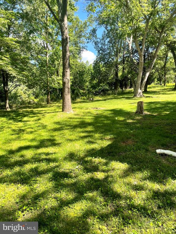 view of grassy yard