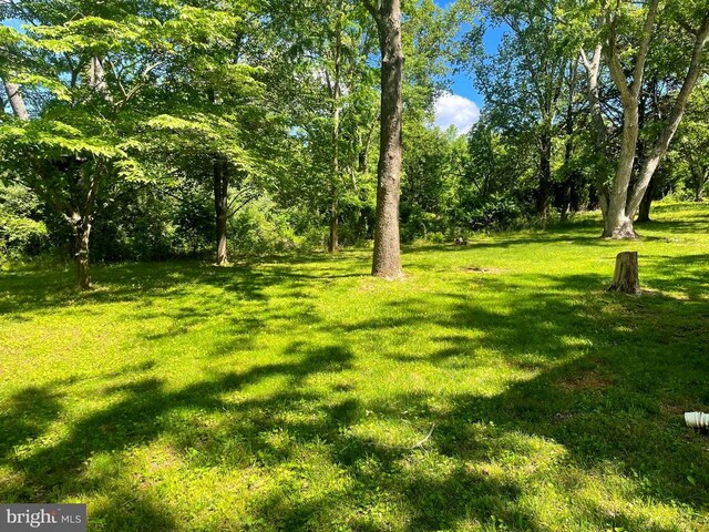 view of grassy yard