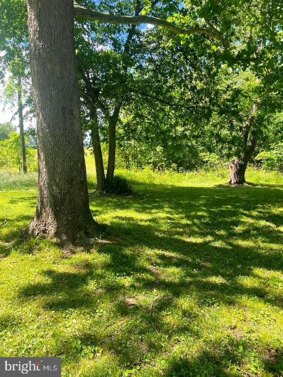 view of grassy yard