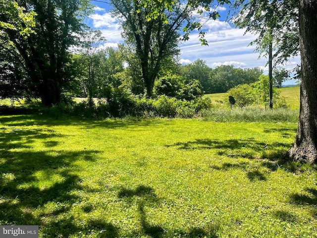 view of green lawn