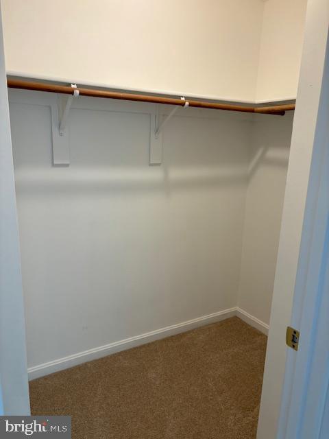 spacious closet with carpet