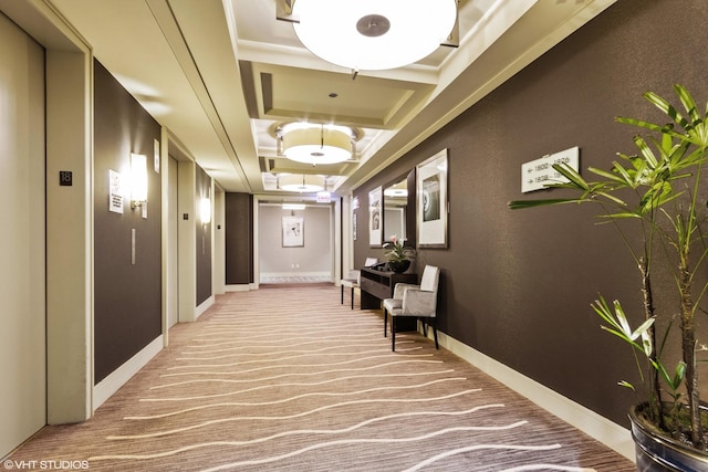 hallway featuring light carpet and elevator