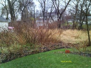 1302 Ardmore Dr, Round Lake Beach, IL 60073 - photo 4