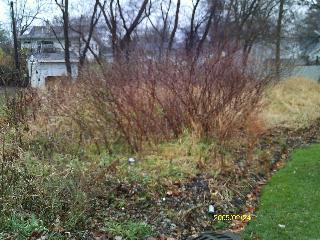 1302 Ardmore Dr, Round Lake Beach, IL 60073 - photo 5
