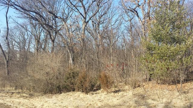 000 E Rogene Dr, Oregon IL, 61061 land for sale