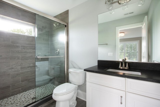 bathroom with a wealth of natural light, toilet, vanity, and an enclosed shower