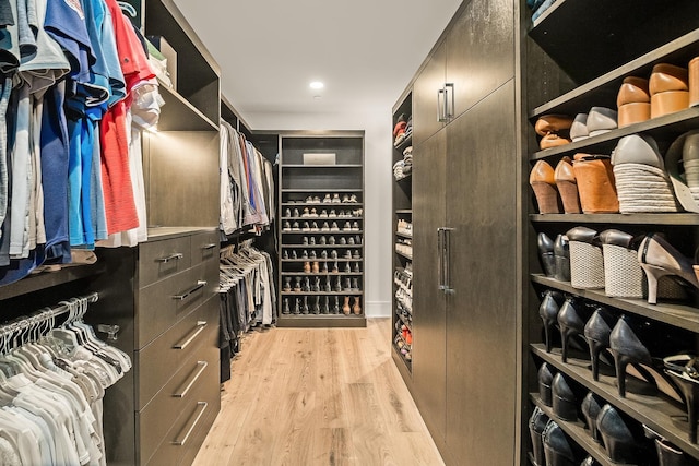 spacious closet with light wood-type flooring