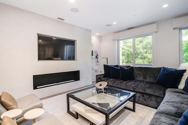 living room featuring light hardwood / wood-style floors and a healthy amount of sunlight