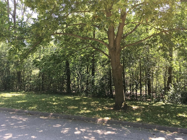 Listing photo 2 for LOT69 Windhaven Ct, Lake Forest IL 60045