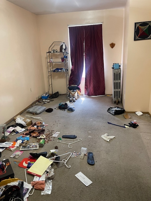 miscellaneous room featuring carpet flooring