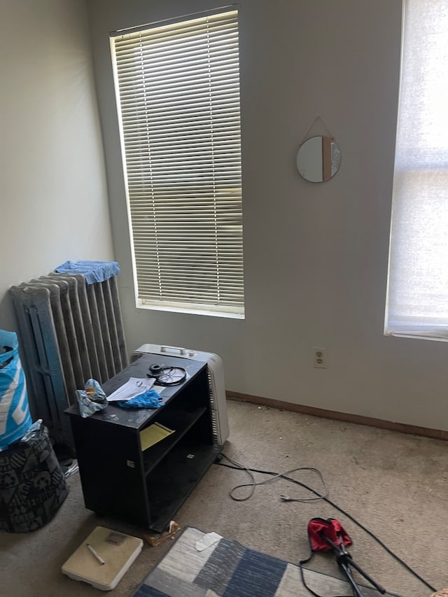 interior space with light carpet and radiator