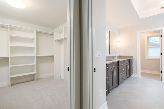 spacious closet with light colored carpet and sink