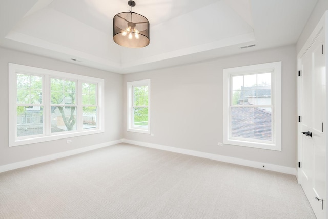 spare room featuring a raised ceiling and light carpet