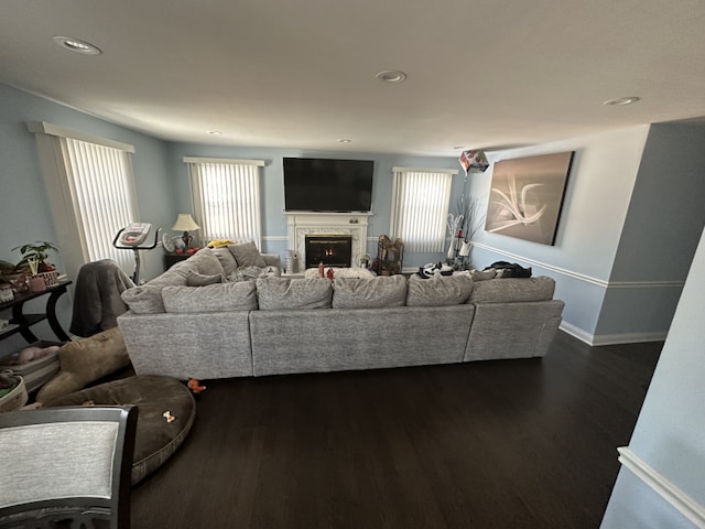 living room featuring dark wood-type flooring