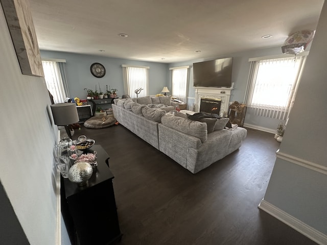 living room with dark hardwood / wood-style floors