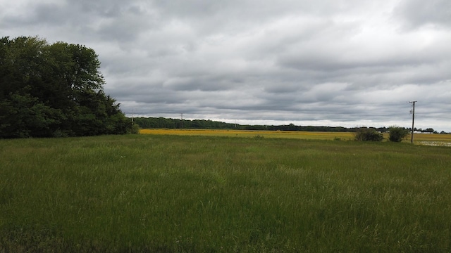 0 W County Line Rd, Essex IL, 60935 land for sale