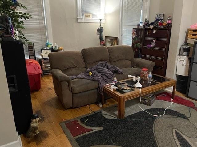 living room with hardwood / wood-style flooring