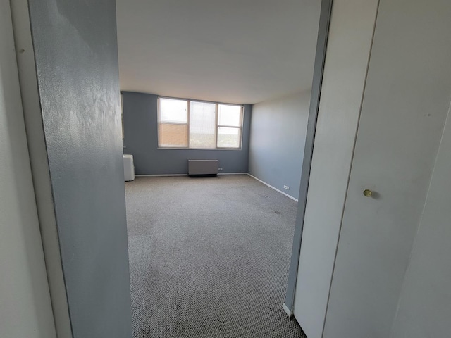 spare room with light carpet