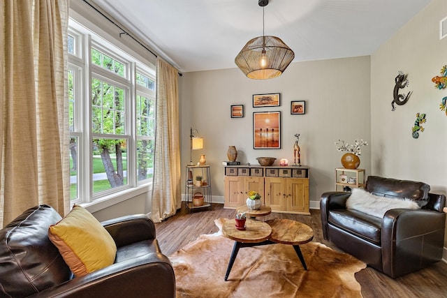 living room with dark hardwood / wood-style flooring