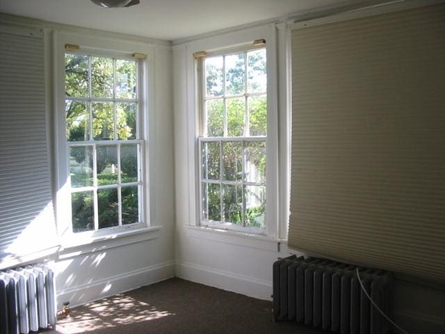 interior space with radiator heating unit and a healthy amount of sunlight