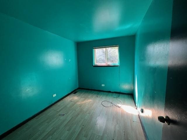 bonus room with wood-type flooring