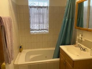 bathroom featuring vanity with extensive cabinet space