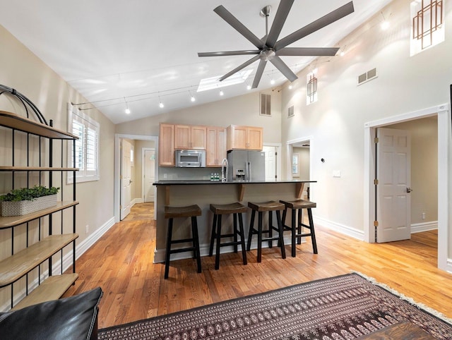 kitchen with light brown cabinets, ceiling fan, rail lighting, light hardwood / wood-style flooring, and appliances with stainless steel finishes