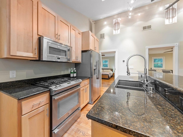 kitchen with light hardwood / wood-style floors, dark stone countertops, stainless steel appliances, track lighting, and sink