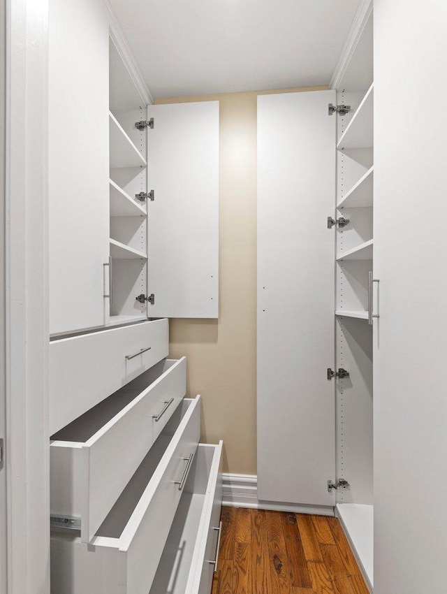 walk in closet featuring dark hardwood / wood-style flooring