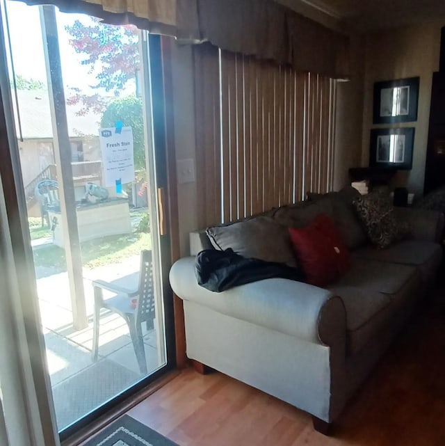 living room with wood-type flooring