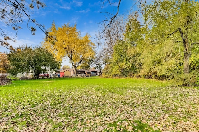 view of yard