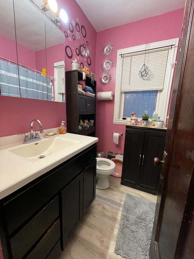 bathroom featuring toilet, vanity, and hardwood / wood-style flooring