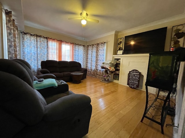 living room with ceiling fan, light wood-type flooring, and crown molding