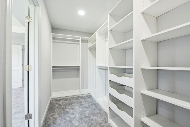 spacious closet with carpet flooring