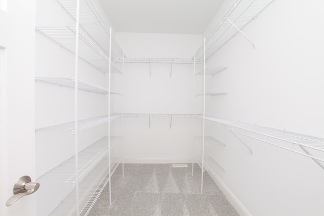 spacious closet featuring light colored carpet