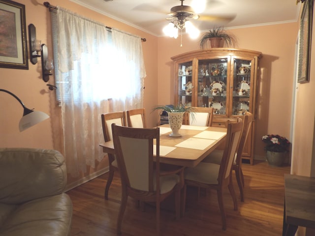 dining area featuring ornamental molding, ceiling fan, and dark hardwood / wood-style flooring