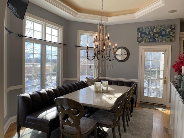 dining space featuring a raised ceiling, plenty of natural light, and hardwood / wood-style flooring