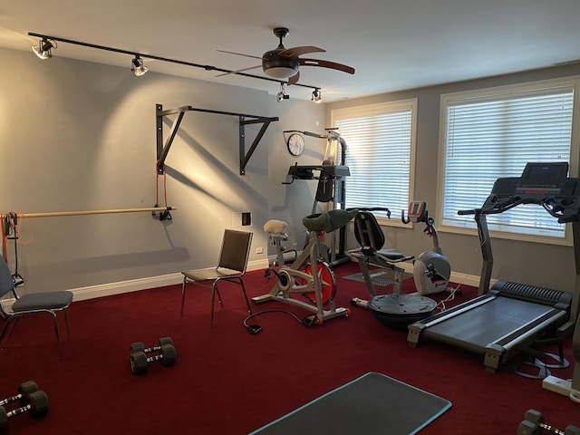 exercise area with ceiling fan, track lighting, and a wealth of natural light