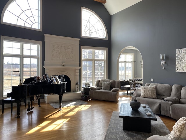 living room featuring dark wood-type flooring, a healthy amount of sunlight, and a fireplace